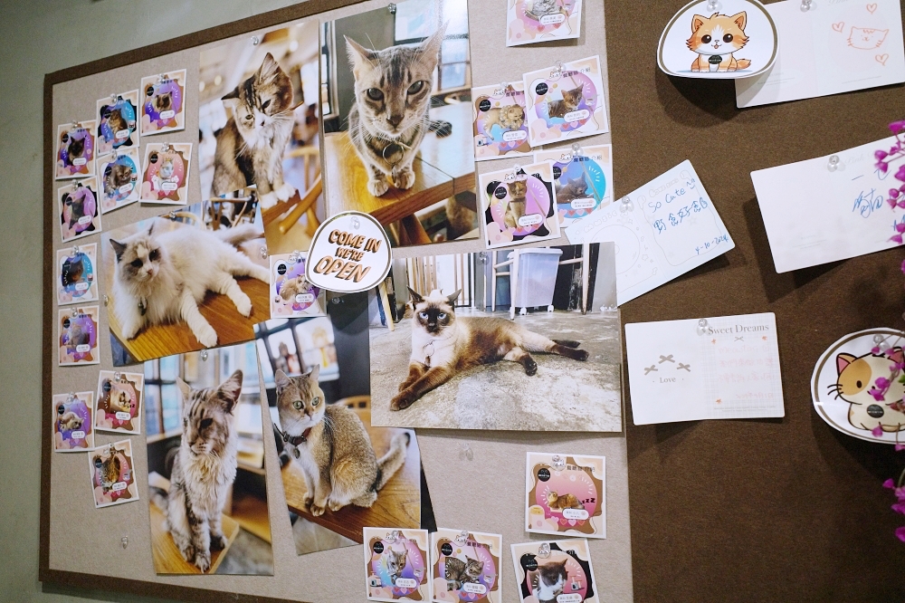Meowtini喵天尼｜旺角人氣貓Cafe＋酒吧主題｜貓奴必朝聖景點 @捲捲頭 ♡ 品味生活
