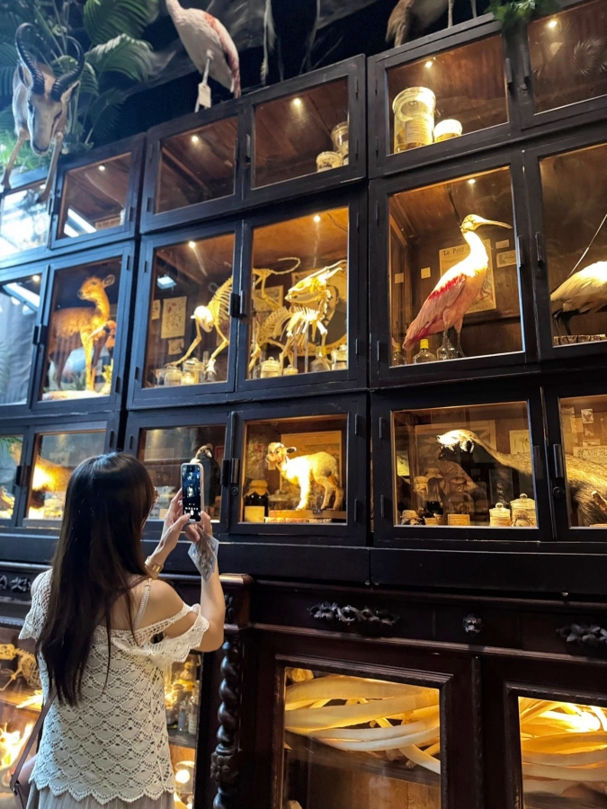 台南景點｜仰角舶物標本館,走進哈利波特異世界！ @捲捲頭 ♡ 品味生活