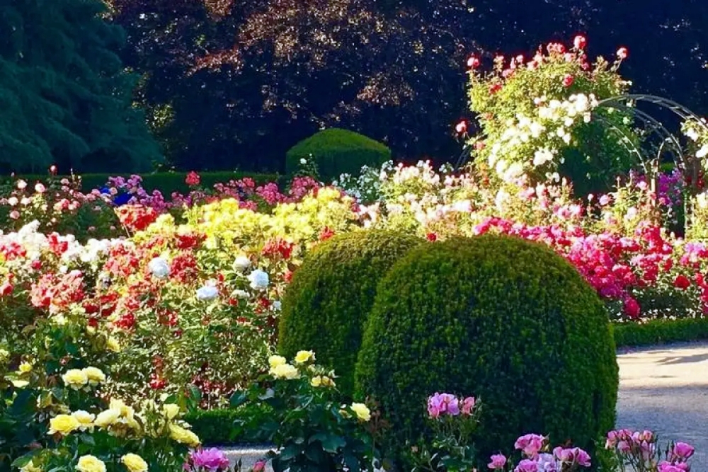 2026 基督城景點推薦｜南島最大花園城市，8 個必去行程懶人包！ @捲捲頭 ♡ 品味生活