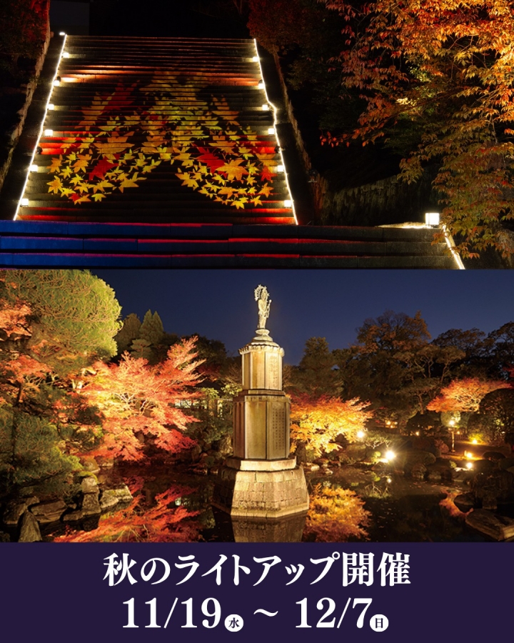 京都夜楓必拍！知恩院友禪苑＋東寺一晚雙景行程分享 @捲捲頭 ♡ 品味生活