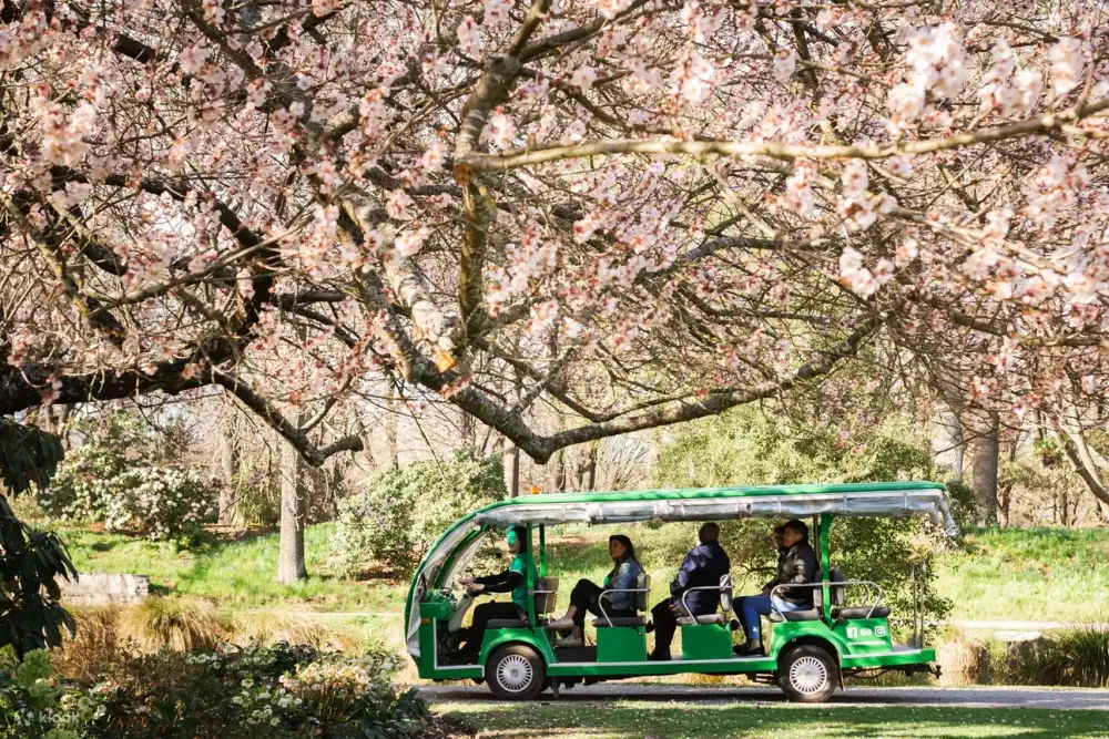2026 基督城景點推薦｜南島最大花園城市，8 個必去行程懶人包！ @捲捲頭 ♡ 品味生活