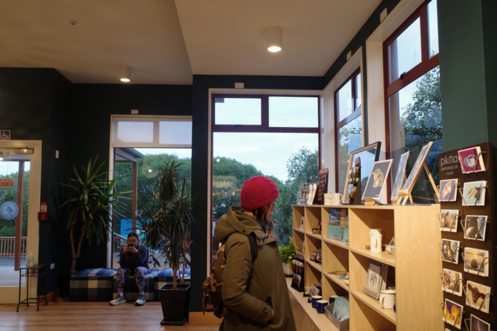 2026 基督城景點推薦｜南島最大花園城市，8 個必去行程懶人包！ @捲捲頭 ♡ 品味生活