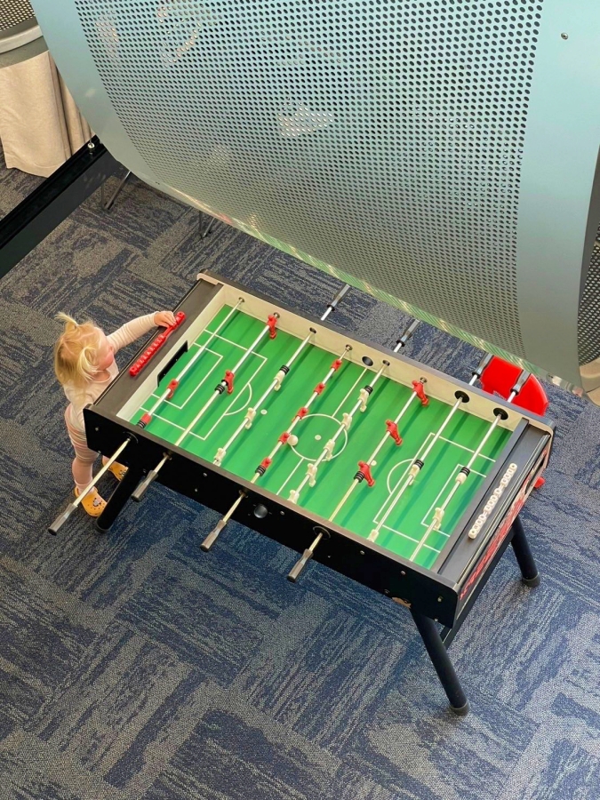 2026 基督城景點推薦｜南島最大花園城市，8 個必去行程懶人包！ @捲捲頭 ♡ 品味生活