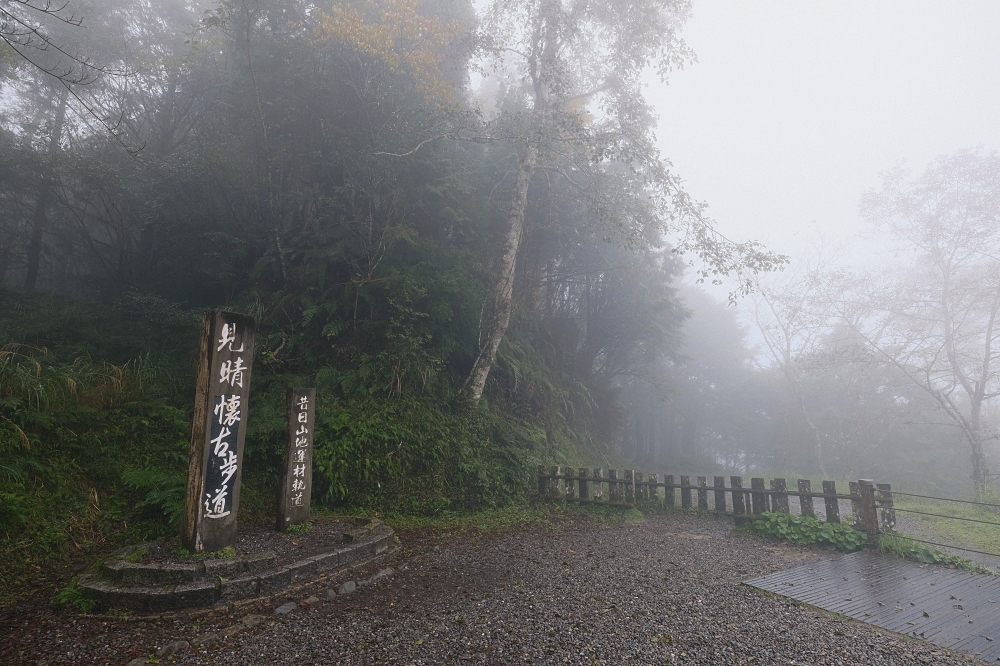 宜蘭太平山｜見晴懷古步道：全球最美小徑！夢幻青苔鐵道 x 0.9km 輕鬆走 @捲捲頭 ♡ 品味生活