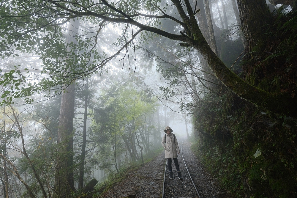 宜蘭太平山｜見晴懷古步道：全球最美小徑！夢幻青苔鐵道 x 0.9km 輕鬆走 @捲捲頭 ♡ 品味生活