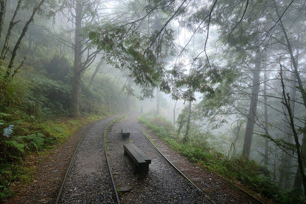 宜蘭太平山｜見晴懷古步道：全球最美小徑！夢幻青苔鐵道 x 0.9km 輕鬆走 @捲捲頭 ♡ 品味生活