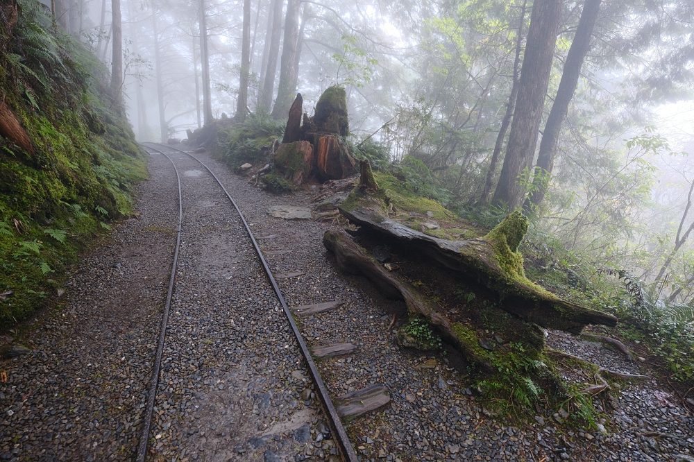 宜蘭太平山｜見晴懷古步道：全球最美小徑！夢幻青苔鐵道 x 0.9km 輕鬆走 @捲捲頭 ♡ 品味生活
