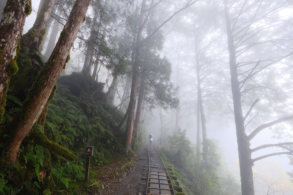 宜蘭太平山｜見晴懷古步道：全球最美小徑！夢幻青苔鐵道 x 0.9km 輕鬆走 @捲捲頭 ♡ 品味生活