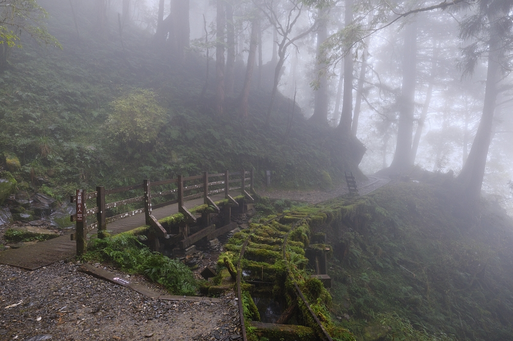 宜蘭太平山｜見晴懷古步道：全球最美小徑！夢幻青苔鐵道 x 0.9km 輕鬆走 @捲捲頭 ♡ 品味生活