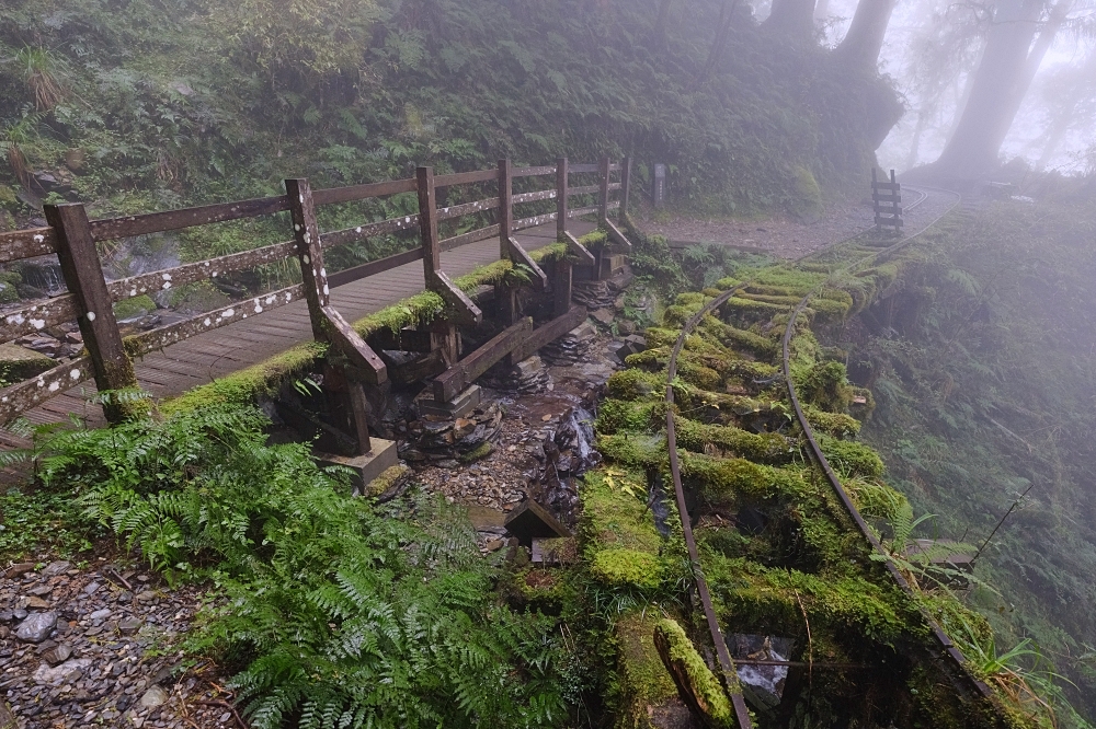 宜蘭太平山｜見晴懷古步道：全球最美小徑！夢幻青苔鐵道 x 0.9km 輕鬆走 @捲捲頭 ♡ 品味生活