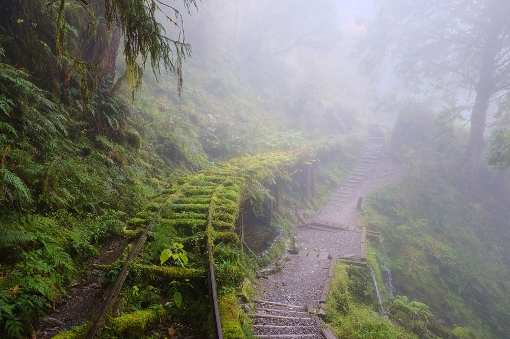 澎湖 馬路益燒肉飯&城隍廟前燒肉飯》搭配酸菜、荷包蛋、拌滷汁的飯，燒肉醃製得入味，軟嫩多汁、厚實鹹香。(2022菜單、營業時間） @捲捲頭 ♡ 品味生活