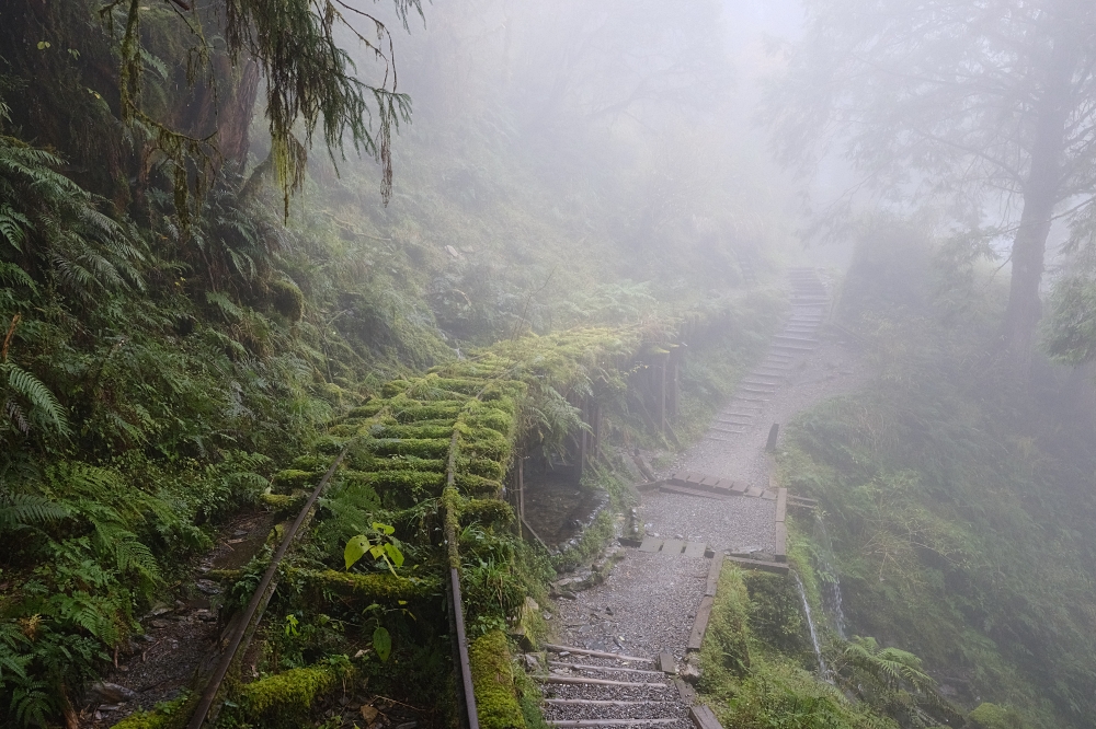 宜蘭太平山｜見晴懷古步道：全球最美小徑！夢幻青苔鐵道 x 0.9km 輕鬆走 @捲捲頭 ♡ 品味生活