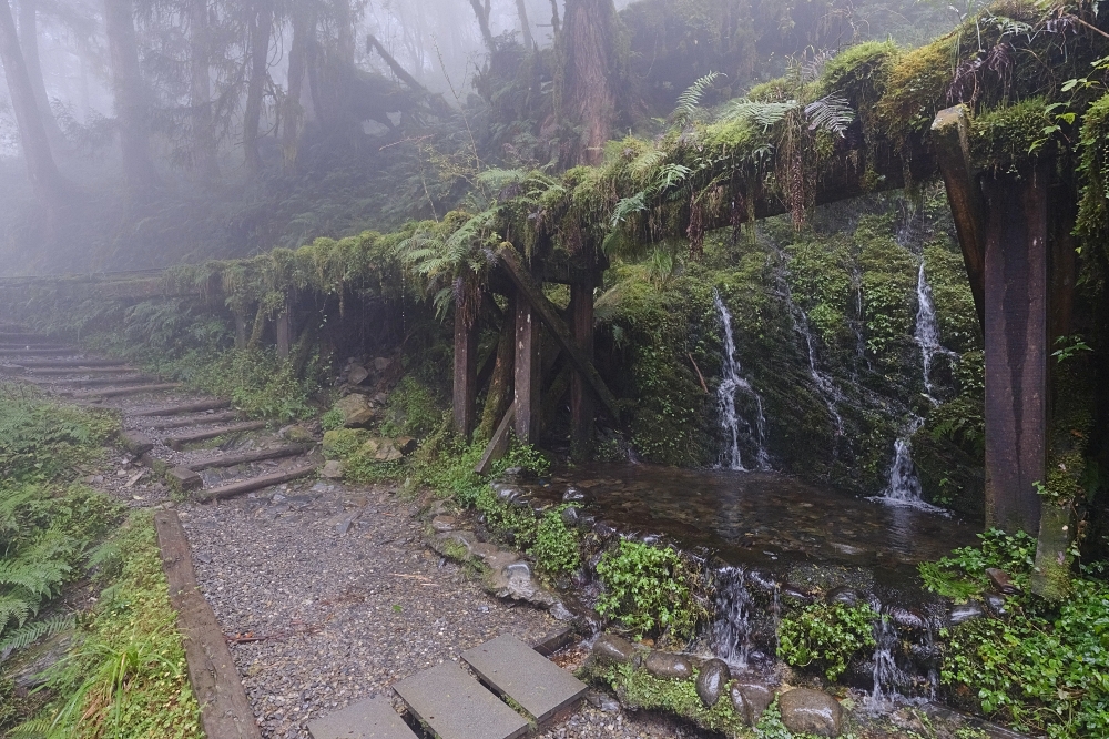 宜蘭太平山｜見晴懷古步道：全球最美小徑！夢幻青苔鐵道 x 0.9km 輕鬆走 @捲捲頭 ♡ 品味生活