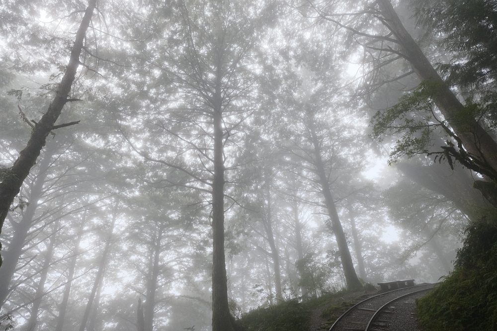 宜蘭太平山｜見晴懷古步道：全球最美小徑！夢幻青苔鐵道 x 0.9km 輕鬆走 @捲捲頭 ♡ 品味生活