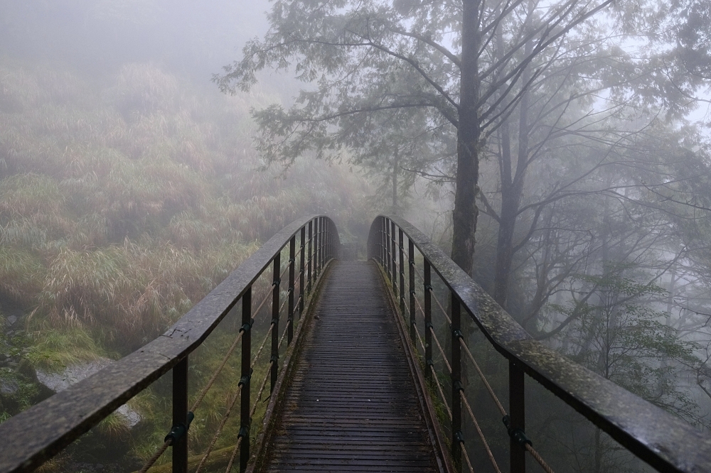 宜蘭太平山｜見晴懷古步道：全球最美小徑！夢幻青苔鐵道 x 0.9km 輕鬆走 @捲捲頭 ♡ 品味生活