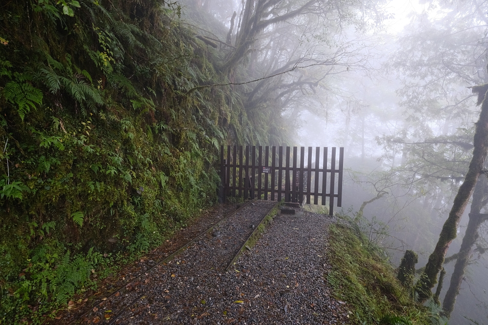 宜蘭太平山｜見晴懷古步道：全球最美小徑！夢幻青苔鐵道 x 0.9km 輕鬆走 @捲捲頭 ♡ 品味生活