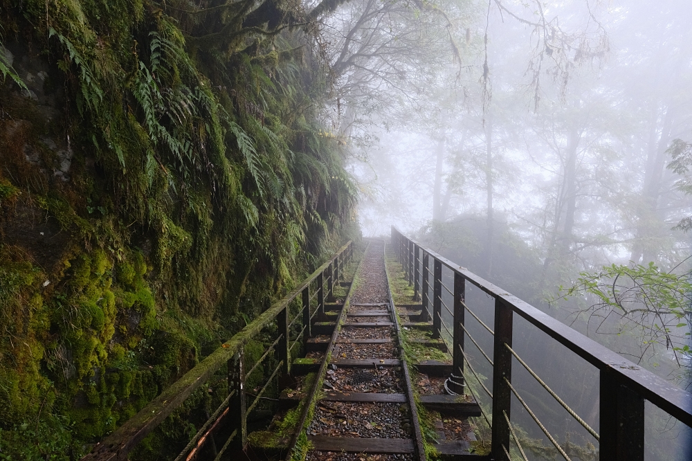 宜蘭太平山｜見晴懷古步道：全球最美小徑！夢幻青苔鐵道 x 0.9km 輕鬆走 @捲捲頭 ♡ 品味生活