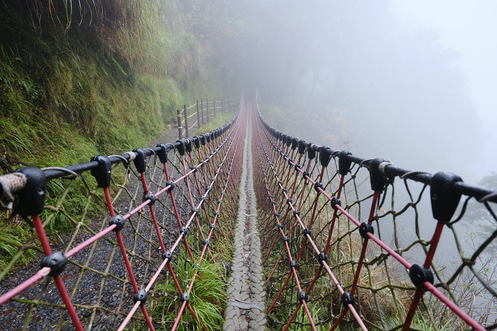 宜蘭太平山｜見晴懷古步道：全球最美小徑！夢幻青苔鐵道 x 0.9km 輕鬆走 @捲捲頭 ♡ 品味生活