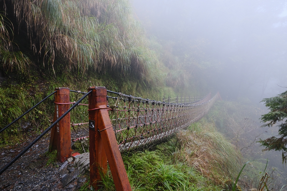 宜蘭太平山｜見晴懷古步道：全球最美小徑！夢幻青苔鐵道 x 0.9km 輕鬆走 @捲捲頭 ♡ 品味生活
