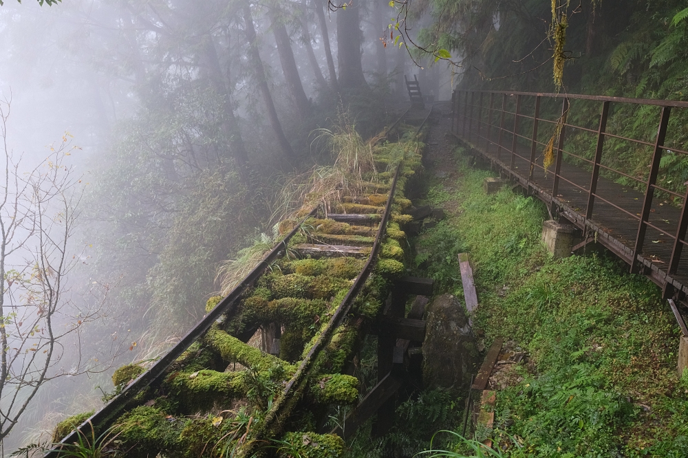 宜蘭太平山｜見晴懷古步道：全球最美小徑！夢幻青苔鐵道 x 0.9km 輕鬆走 @捲捲頭 ♡ 品味生活