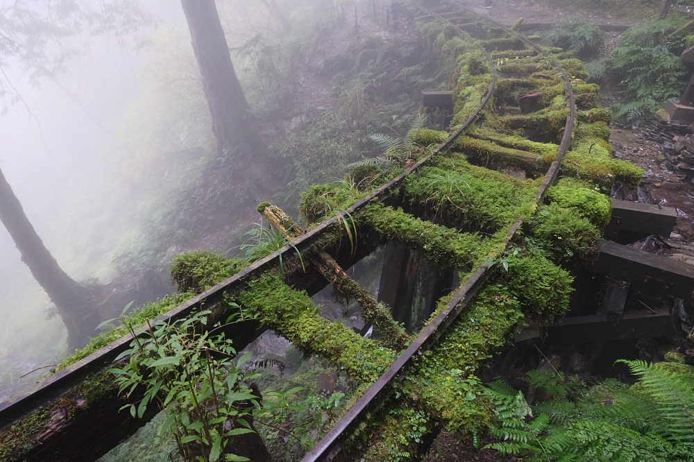 宜蘭太平山｜見晴懷古步道：全球最美小徑！夢幻青苔鐵道 x 0.9km 輕鬆走 @捲捲頭 ♡ 品味生活