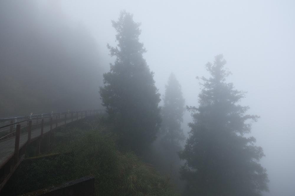 宜蘭太平山｜見晴懷古步道：全球最美小徑！夢幻青苔鐵道 x 0.9km 輕鬆走 @捲捲頭 ♡ 品味生活