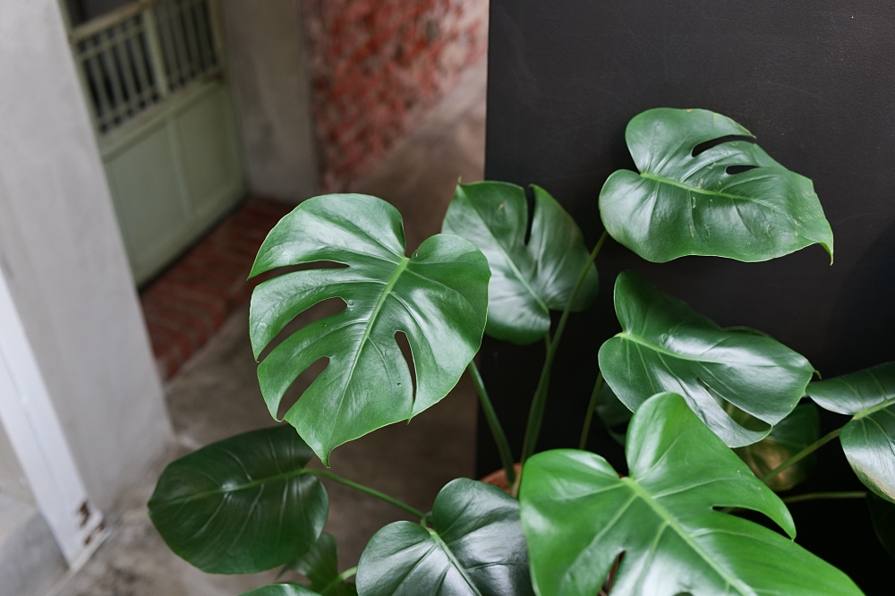 定邦咖啡｜開門十年依然爆紅！必吃浮誇系甜點與水準港點，礁溪必訪推薦。 @捲捲頭 ♡ 品味生活