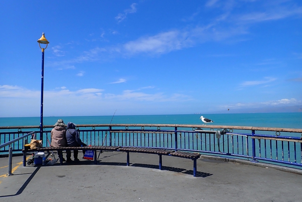 2026 基督城景點推薦｜南島最大花園城市，8 個必去行程懶人包！ @捲捲頭 ♡ 品味生活