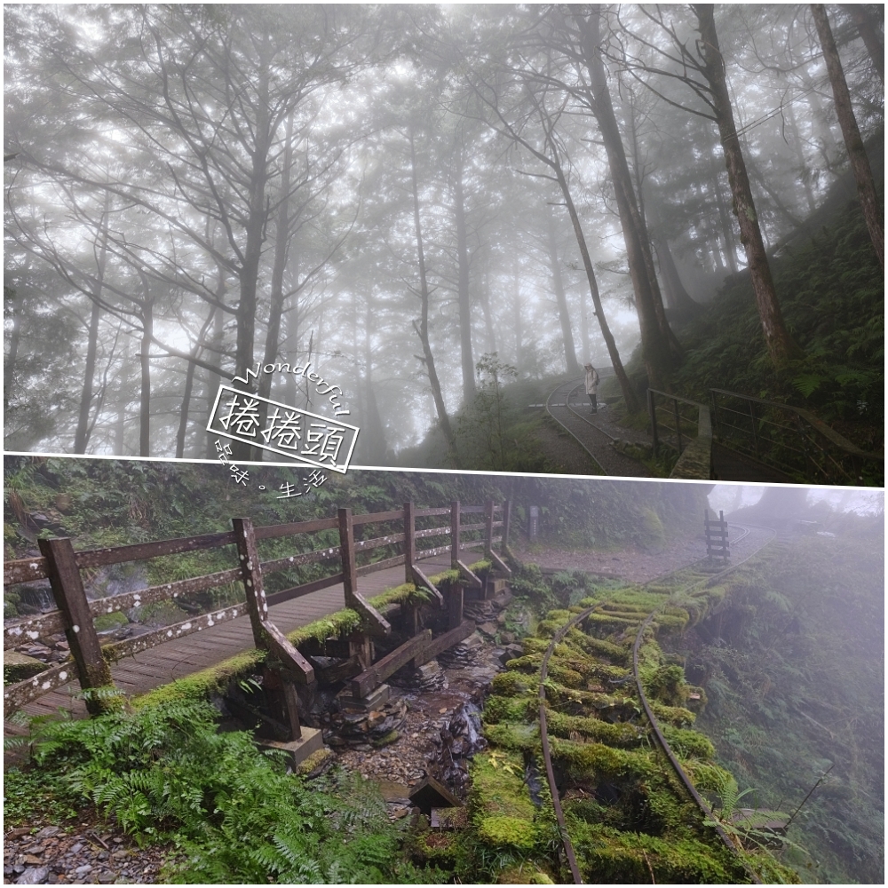 宜蘭太平山｜見晴懷古步道：全球最美小徑！夢幻青苔鐵道 x 0.9km 輕鬆走 @捲捲頭 ♡ 品味生活