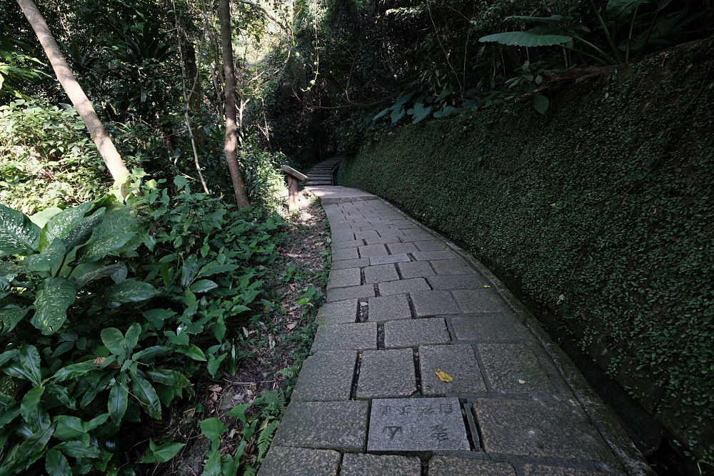 象山親山步道｜2026 交通攻略：四個入口怎麼去？捕捉 101 絕美夜景 @捲捲頭 ♡ 品味生活