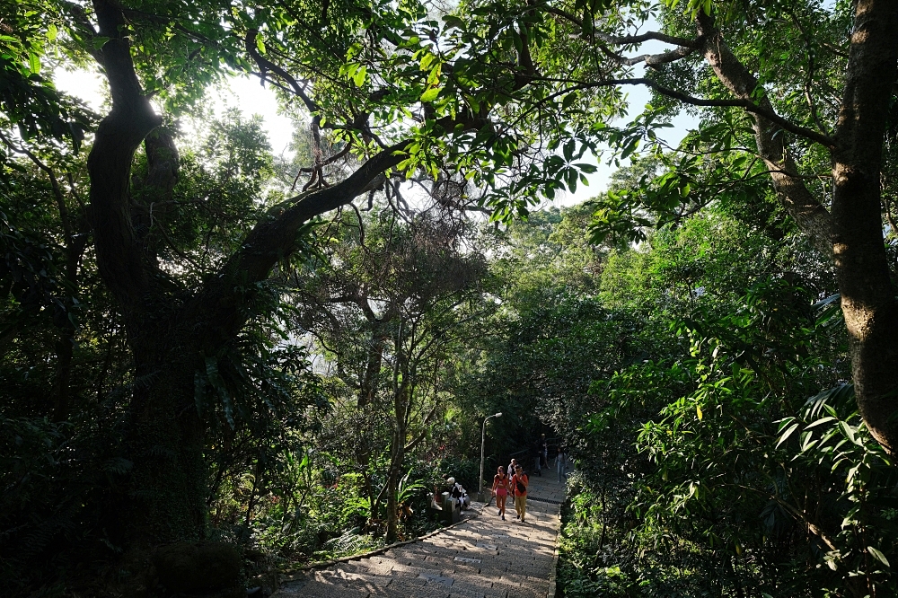 象山親山步道｜2026 交通攻略：四個入口怎麼去？捕捉 101 絕美夜景 @捲捲頭 ♡ 品味生活