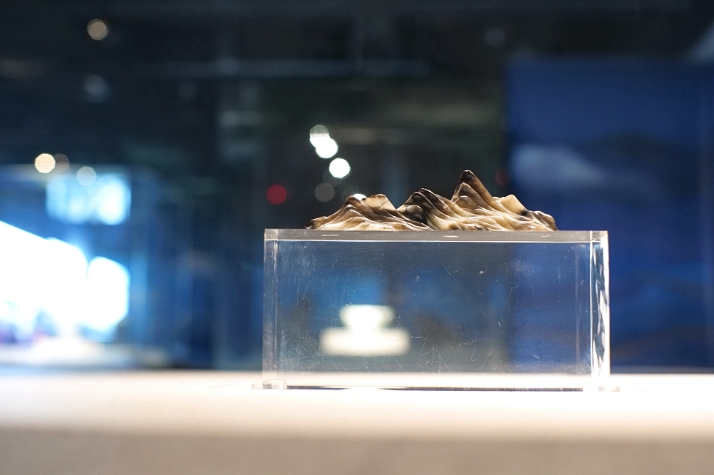 蘭陽博物館｜勁水國寶特展：肉形石出差宜蘭，免排隊看故宮國寶全攻略 @捲捲頭 ♡ 品味生活
