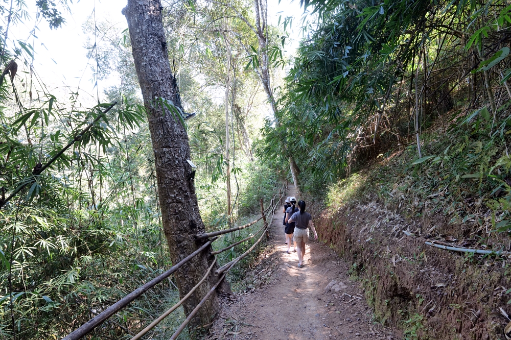 清邁住宿推薦｜大象朋友旅館：體驗大象叫你起床，湄王區山林木屋 @捲捲頭 ♡ 品味生活