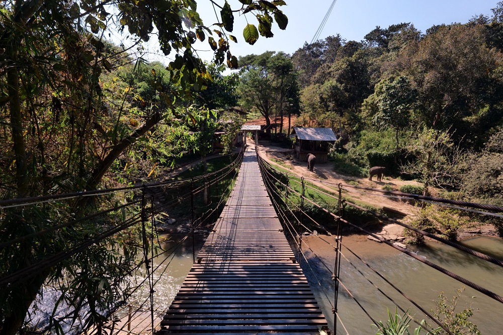 清邁住宿推薦｜大象朋友旅館：體驗大象叫你起床，湄王區山林木屋 @捲捲頭 ♡ 品味生活