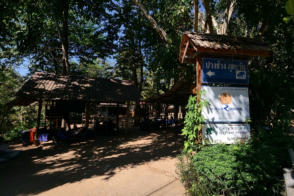 清邁住宿推薦｜大象朋友旅館：體驗大象叫你起床，湄王區山林木屋 @捲捲頭 ♡ 品味生活