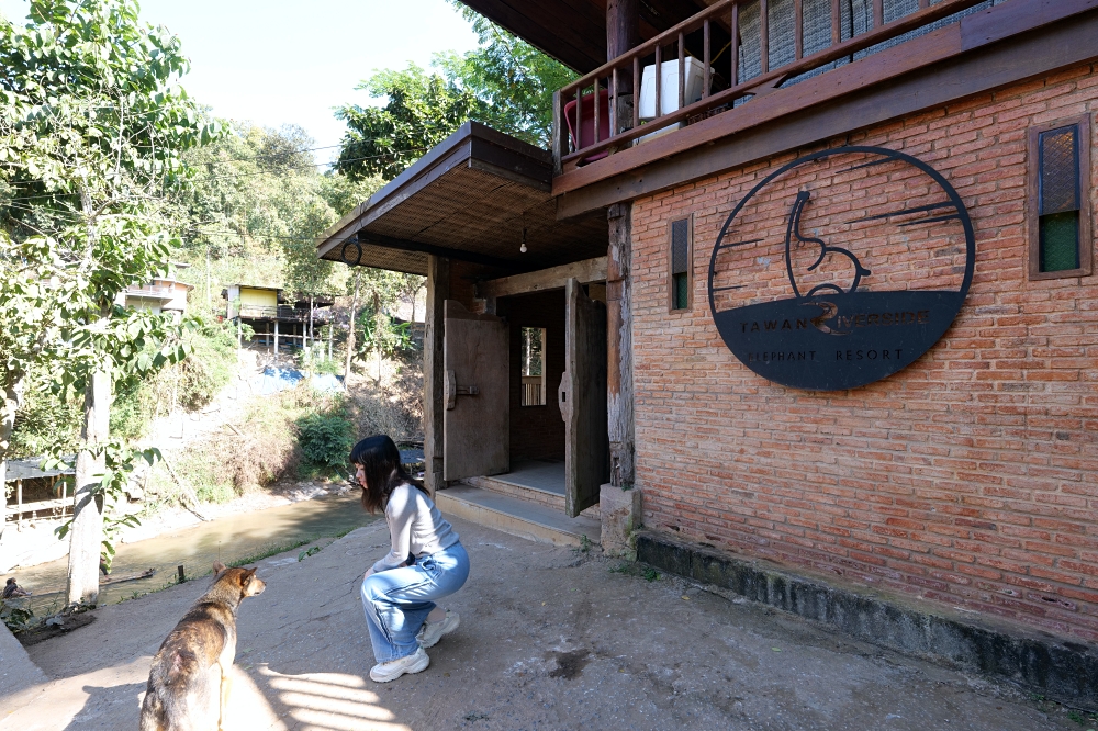 清邁住宿推薦｜大象朋友旅館：體驗大象叫你起床，湄王區山林木屋 @捲捲頭 ♡ 品味生活