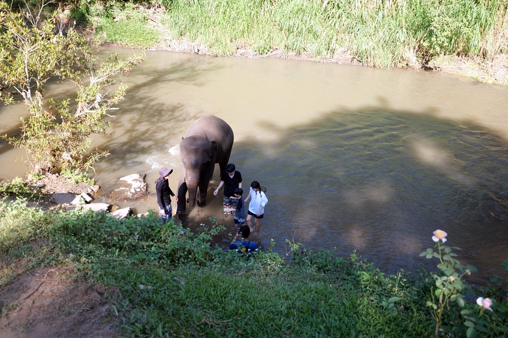 清邁住宿推薦｜大象朋友旅館：體驗大象叫你起床，湄王區山林木屋 @捲捲頭 ♡ 品味生活