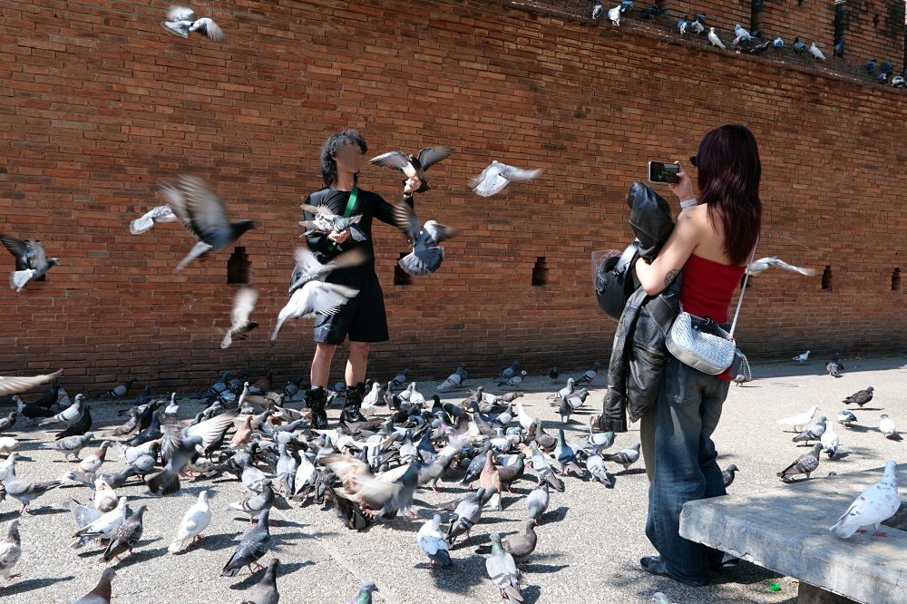清邁古城景點｜一日遊徒步散策：塔佩門、清曼寺、鳯飛飛腳飯路線 @捲捲頭 ♡ 品味生活
