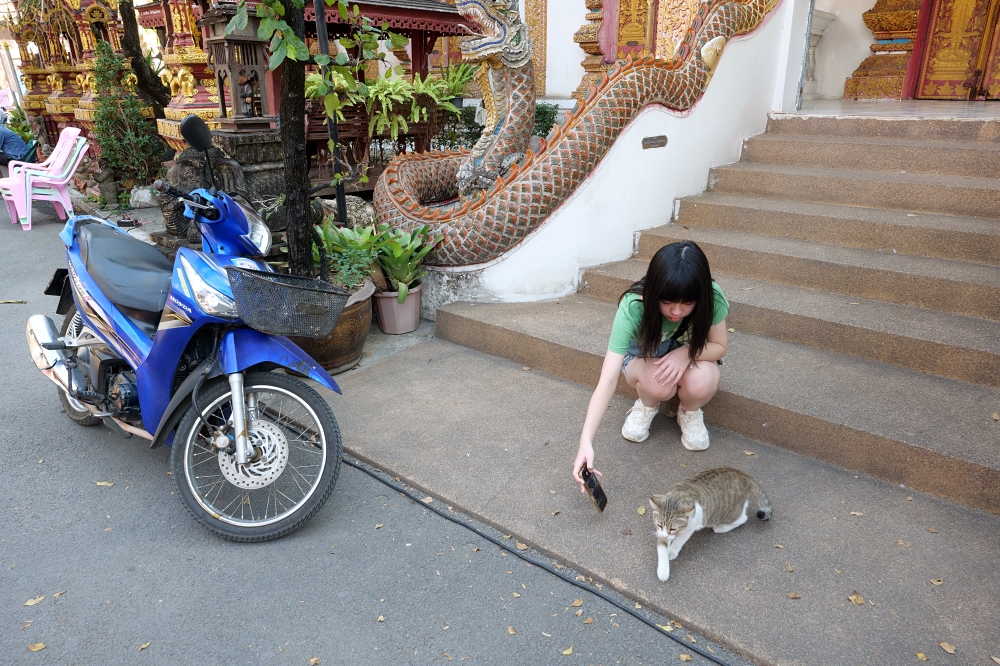 清邁古城景點｜一日遊徒步散策：塔佩門、清曼寺、鳯飛飛腳飯路線 @捲捲頭 ♡ 品味生活