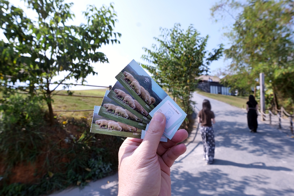 清萊景點推薦｜ABONZO Yama Mitsu：泰版紐西蘭！360度山景綿羊牧場 @捲捲頭 ♡ 品味生活