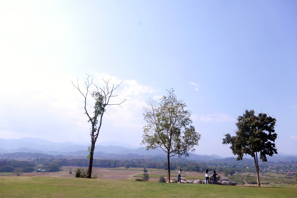清萊景點推薦｜ABONZO Yama Mitsu：泰版紐西蘭！360度山景綿羊牧場 @捲捲頭 ♡ 品味生活