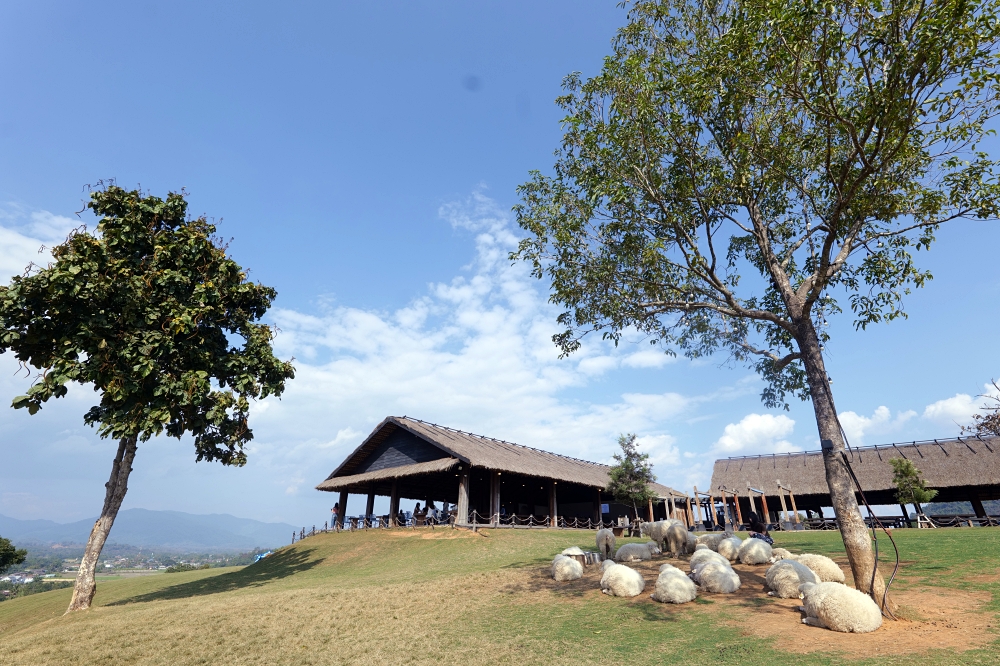 清萊景點推薦｜ABONZO Yama Mitsu：泰版紐西蘭！360度山景綿羊牧場 @捲捲頭 ♡ 品味生活