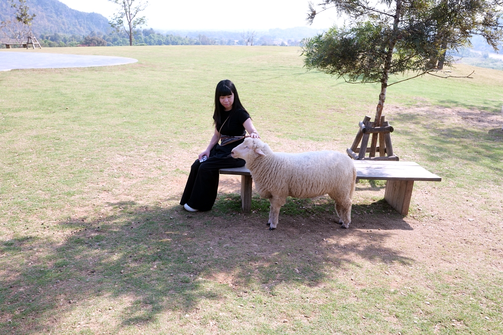 清萊景點推薦｜ABONZO Yama Mitsu：泰版紐西蘭！360度山景綿羊牧場 @捲捲頭 ♡ 品味生活