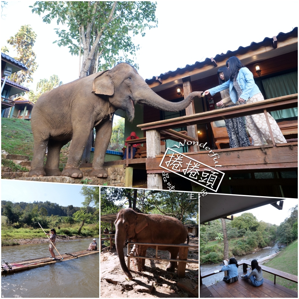 清邁住宿推薦｜大象朋友旅館：體驗大象叫你起床，湄王區山林木屋 @捲捲頭 ♡ 品味生活