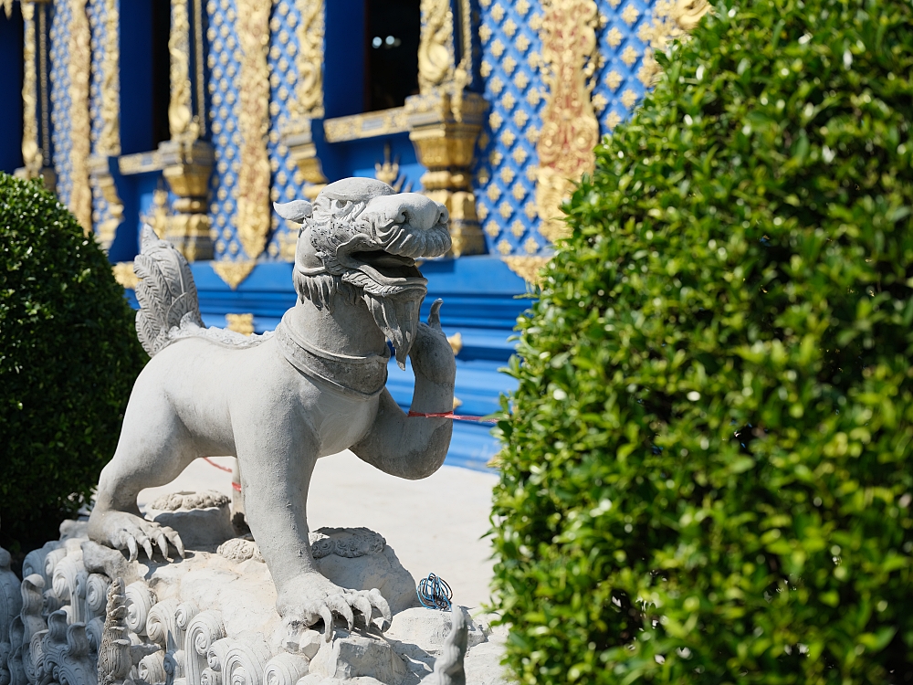 【清萊景點】 免門票必訪！藍廟 Wat Rong Suea Ten，湛藍色調的藝術寺廟 @捲捲頭 ♡ 品味生活