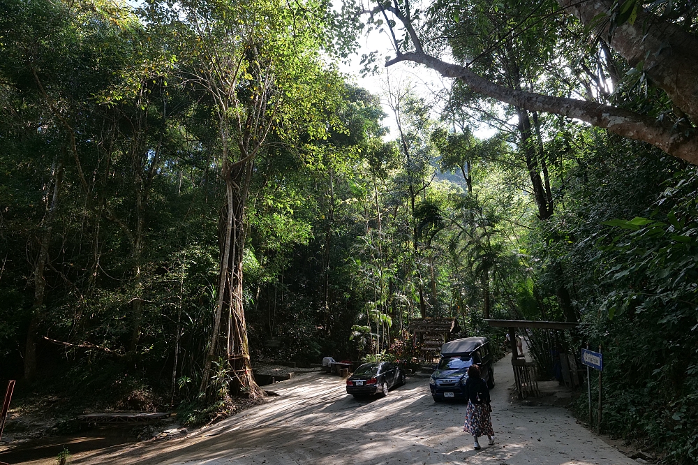 【清邁景點】 湄康蓬村Mae Kampong：泰北百年山城，涼爽森林咖啡廳巡禮 @捲捲頭 ♡ 品味生活