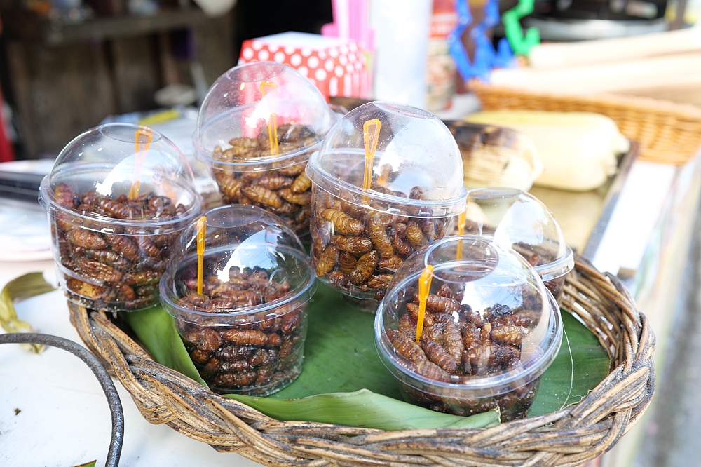 【清邁景點】 湄康蓬村Mae Kampong:泰北百年山城,涼爽森林咖啡廳巡禮 @捲捲頭 ♡ 品味生活 【清邁景點】 湄康蓬村Mae Kampong:泰北百年山城,涼爽森林咖啡廳巡禮 @捲捲頭 ♡ 品味生活