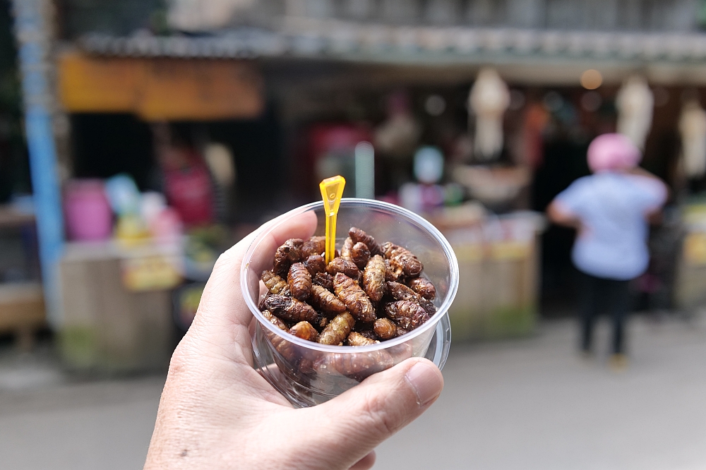 【清邁景點】 湄康蓬村Mae Kampong：泰北百年山城，涼爽森林咖啡廳巡禮 @捲捲頭 ♡ 品味生活