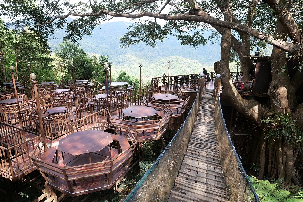 【清邁景點】 巨樹咖啡廳:走過吊橋,在百年巨樹上喝咖啡的奇幻體驗 @捲捲頭 ♡ 品味生活 【清邁景點】 巨樹咖啡廳:走過吊橋,在百年巨樹上喝咖啡的奇幻體驗 @捲捲頭 ♡ 品味生活