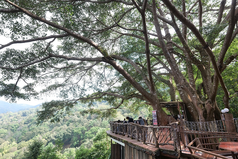 【清邁景點】 巨樹咖啡廳:走過吊橋,在百年巨樹上喝咖啡的奇幻體驗 @捲捲頭 ♡ 品味生活 【清邁景點】 巨樹咖啡廳:走過吊橋,在百年巨樹上喝咖啡的奇幻體驗 @捲捲頭 ♡ 品味生活